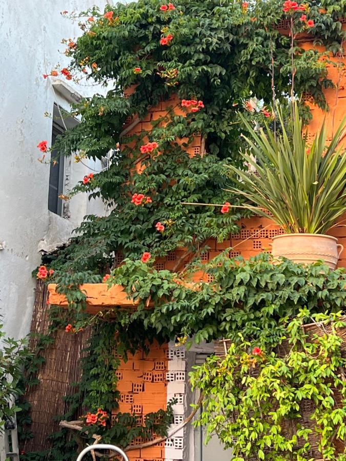 Tolos Budget Rooms Loggos Longos  Exterior photo