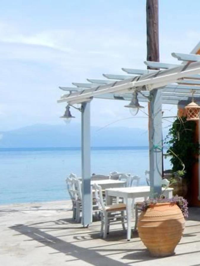 Tolos Budget Rooms Loggos Longos  Exterior photo